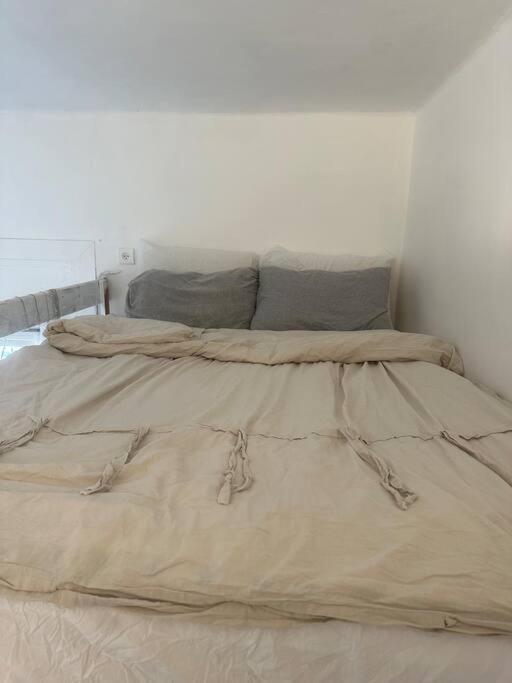 Beautiful Renovated Gallery Apartment Tel Aviv